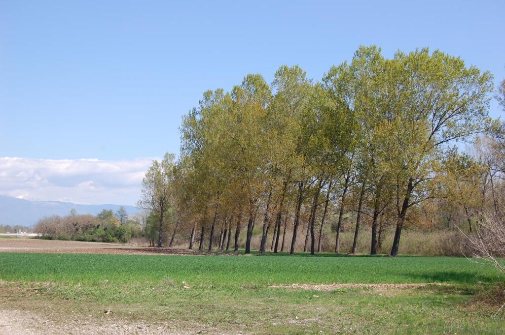 Locanda La Candola Soligo Exteriér fotografie