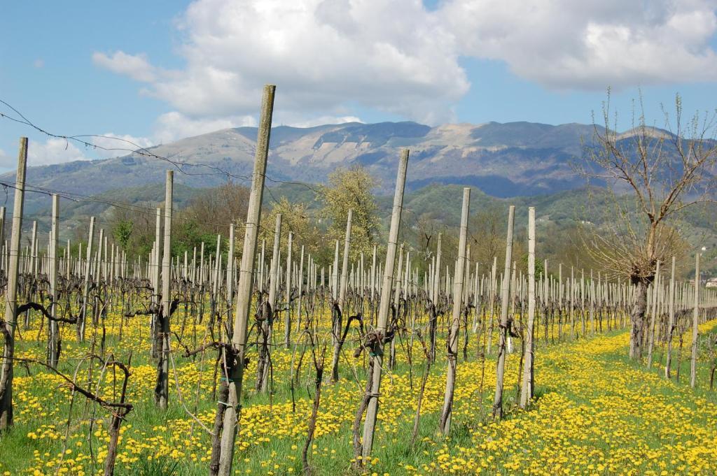 Locanda La Candola Soligo Exteriér fotografie